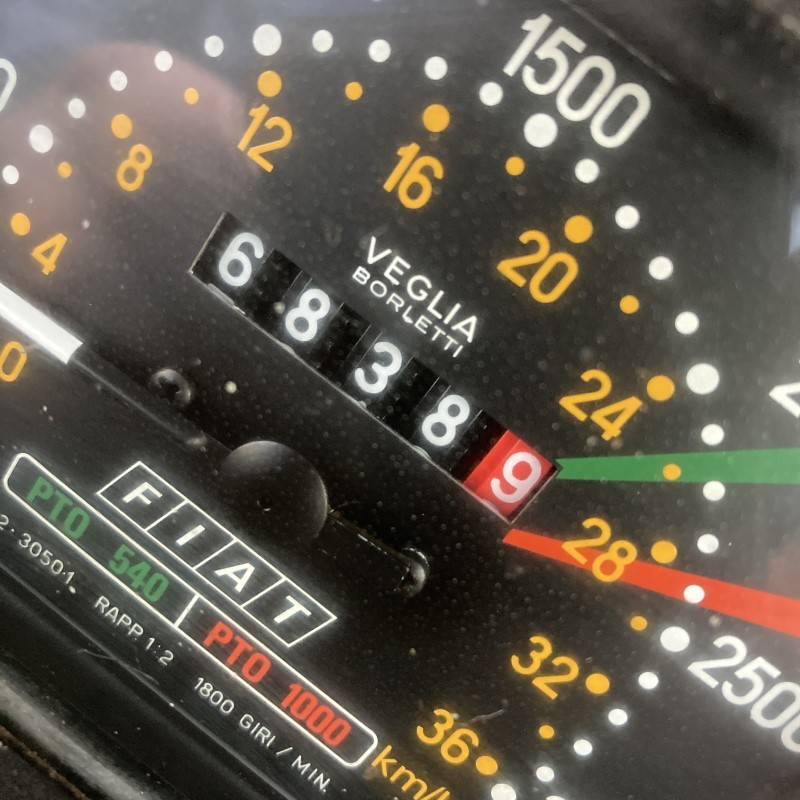 31