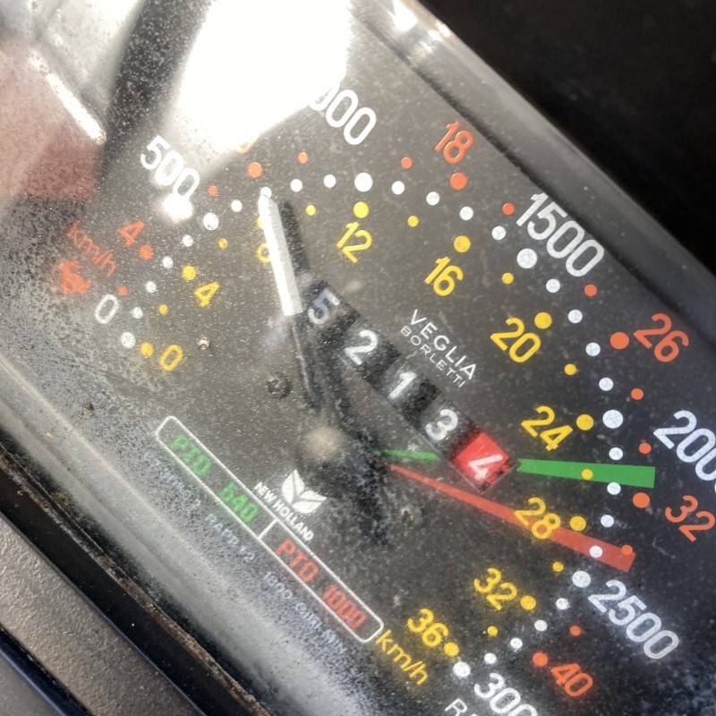 31