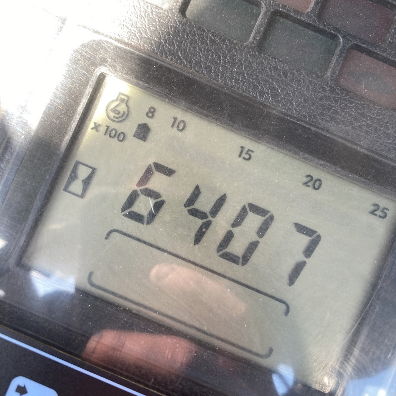 31