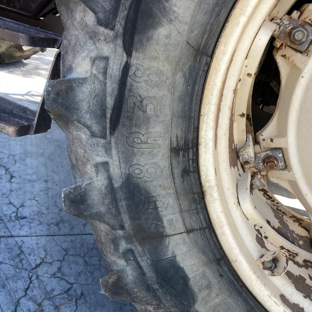 IMG_4949 (Edited).webp