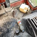 IMG_5033 (Edited).webp