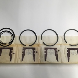 [631100130] 631100130 Set zuigerringen Ø95