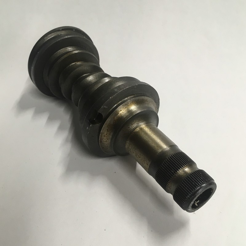 [9920551] 9920551 Worm