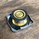 4999682 Radiatordop