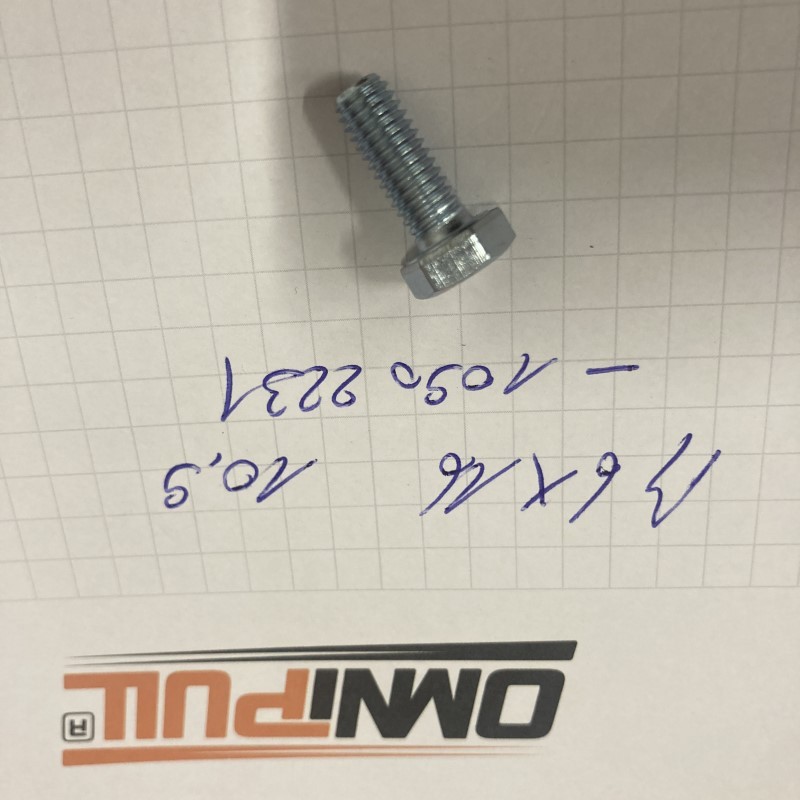 10902231 Zeskantbout M6x16 - 10.9