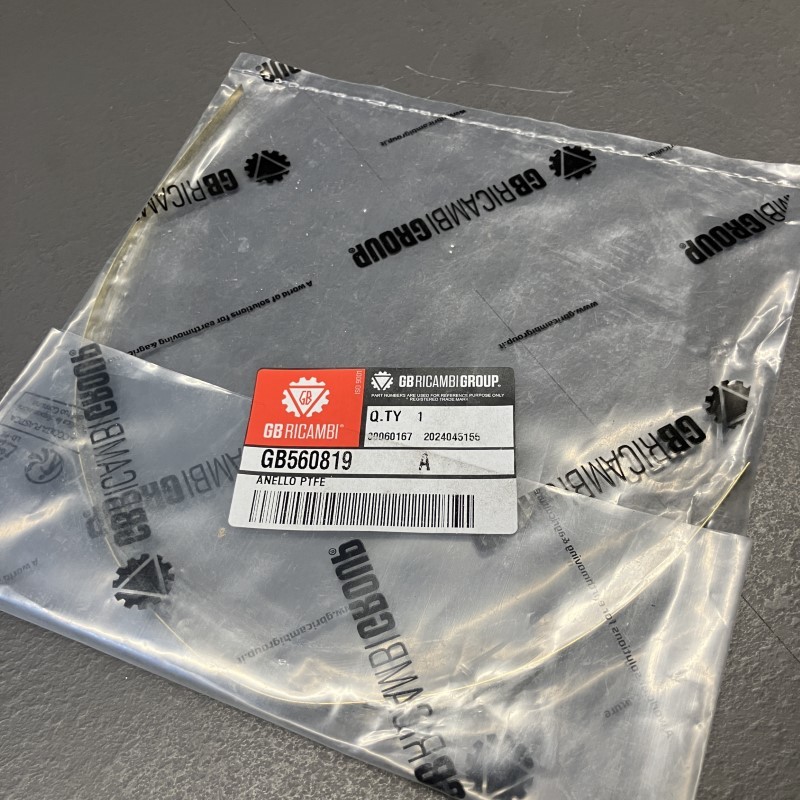 560819 ANELLO PTFE