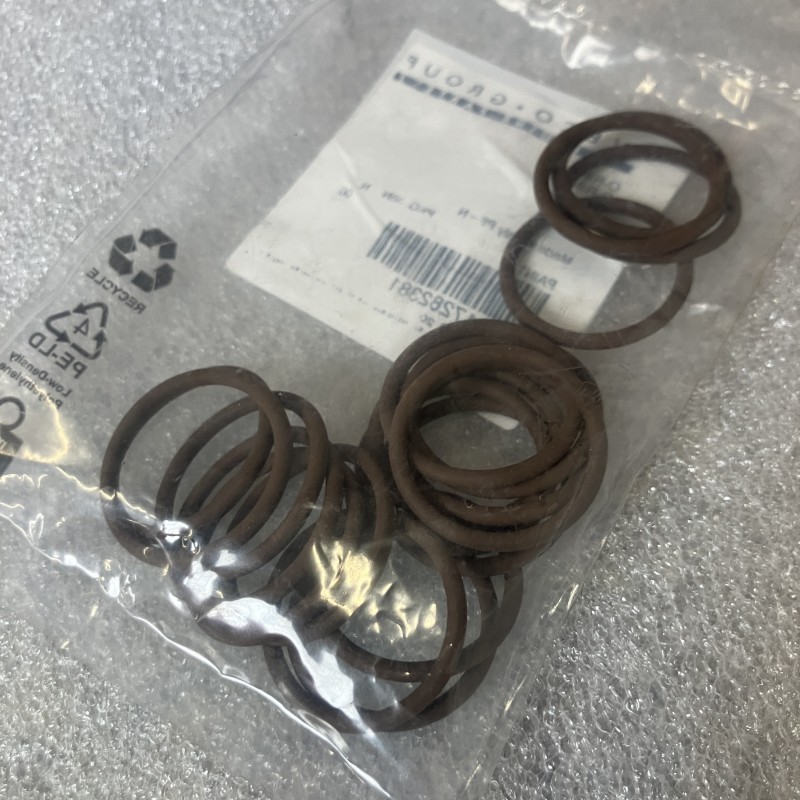 17282381 O-RING