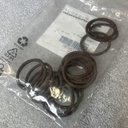 17282381 O-RING