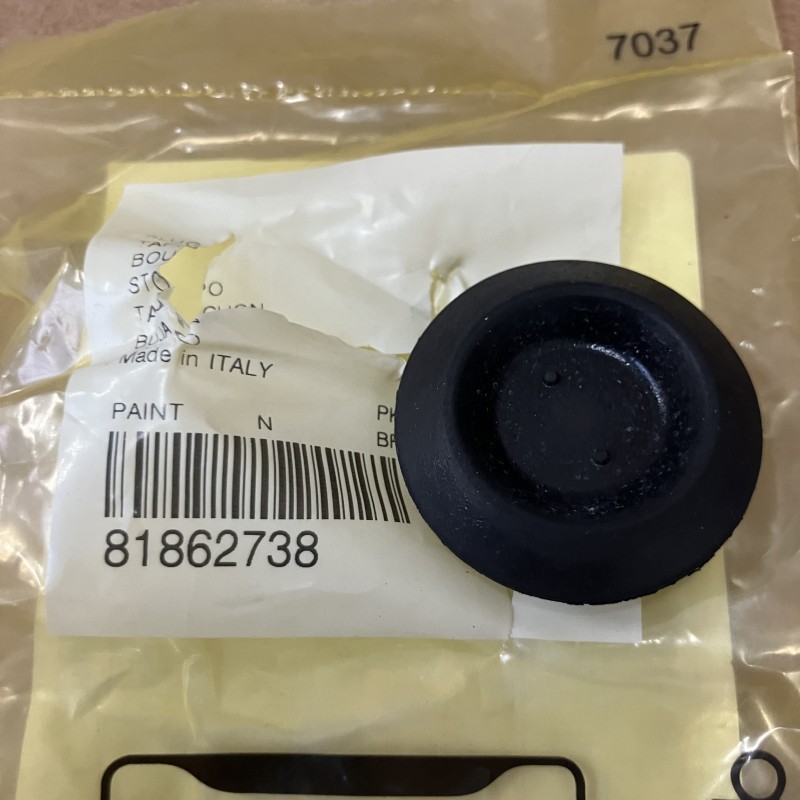 81862738 PLUG