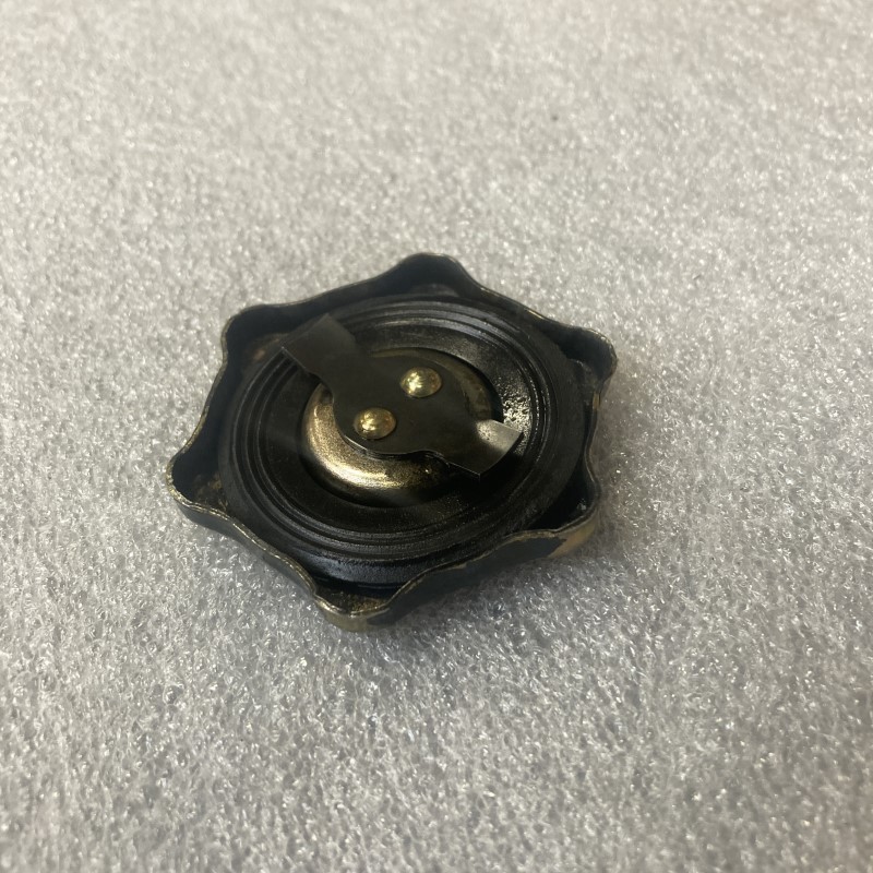 4232606 Plug