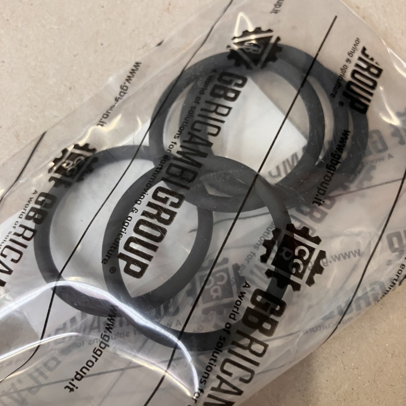 17289281 Circlips