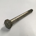 15541821 Bout M12x1,25x120 verzinkt