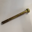 15972031 Schroef 10x1.25x110